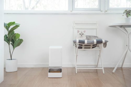 Xiaomi Smart Pet Food Feeder EU/BHR6143EU