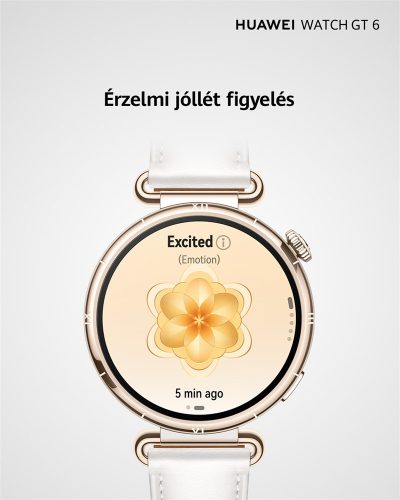 Huawei Watch GT6 41mm Purple