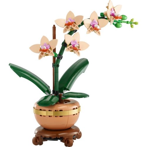 LEGO® Botanicals Mini orchidea, ajándék növény 10343