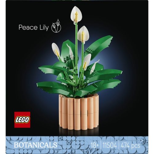 LEGO® Botanicals Vitorlavirág, virágdekoráció 11504