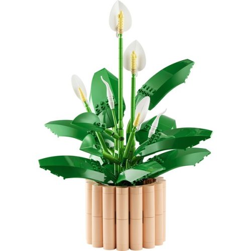 LEGO® Botanicals Vitorlavirág, virágdekoráció 11504