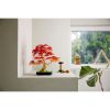 LEGO® Botanicals Vöröslevelű japán juhar bonsai, növénydekoráció 10348