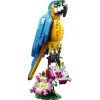 LEGO® Creator Egzotikus papagáj 31136