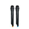 BLAUPUNKT PB06DB Bluetooth party hangszóró, 2 db mikrofon,  RMS,TWS,FM,AUX, 500W, Fekete (RTVBLAS015)