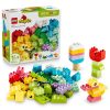 LEGO® DUPLO® Classic Színpompás, kreatív csomag 10479