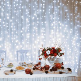   Home DLF 400/WH LED-es fényfüggöny, 2x2 m / 400 db hidegfehér LED, állófényű, fehér vezeték, sorolható, kül- és beltéri kivitel
