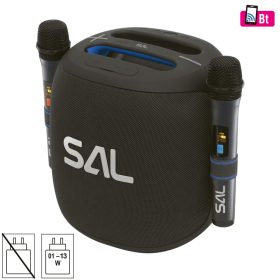 SAL PARCUBE boombox, 100 W, 2db vezeték nélküli mikrofon, 5db hangszóró, LED fényeffekt, IPX5 védelem, Bluetooth   SAL PARCUBE boombox, 100 W, 2db vezeték nélküli mikrofon, 5db hangszóró, LED fényeffekt, IPX5 védelem, Bluetooth